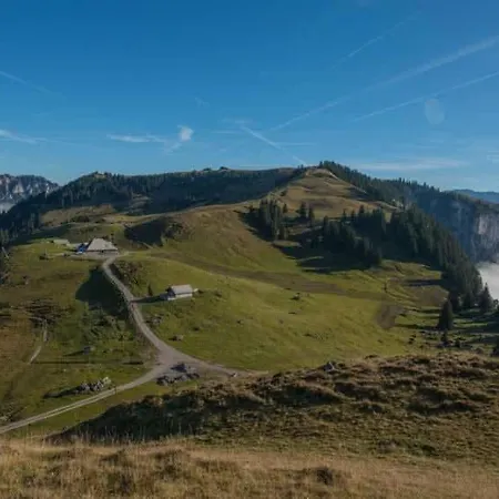 With Mountain View In The Vacation Center 아파트 Diemtigen