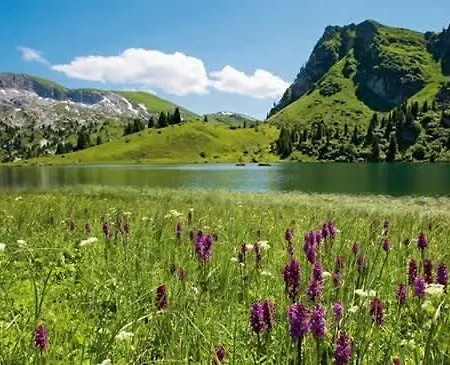 Appartamento With Mountain View In The Vacation Center Diemtigen